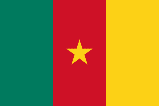 Drapeau : Cameroun